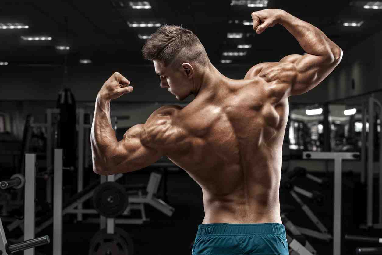 Comment augmenter la masse musculaire naturellement?