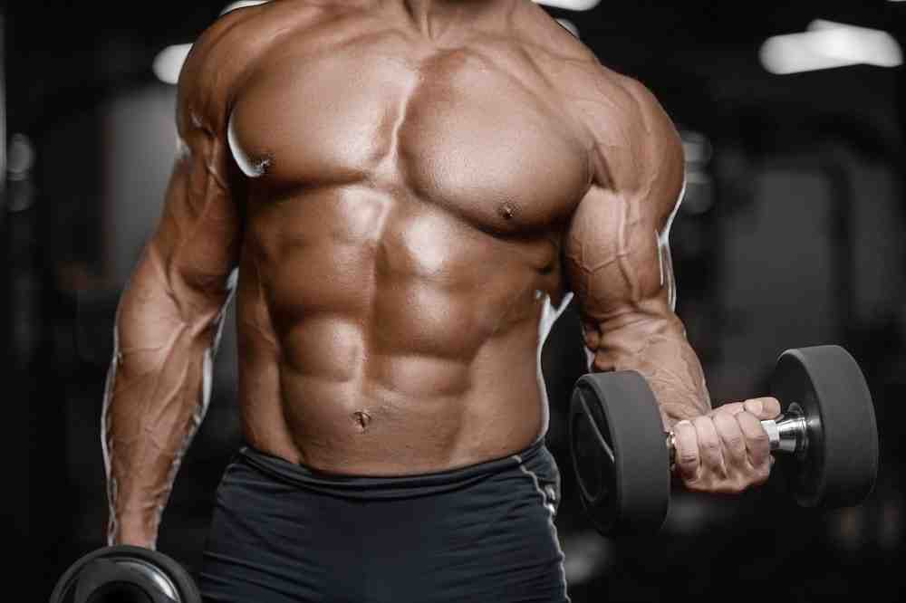 Comment augmenter rapidement sa masse musculaire?
