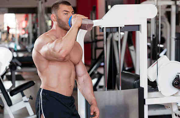 Quel est le meilleur produit de renforcement musculaire?