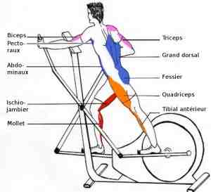 Comment utiliser le vélo elliptique pour perdre du poids?